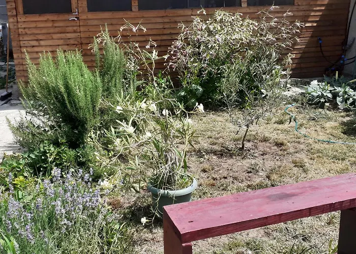 Hipo Гостевой дом Венус