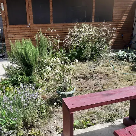 Hipo Gæstehus Venus