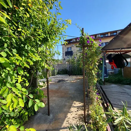 Hipo Guest house