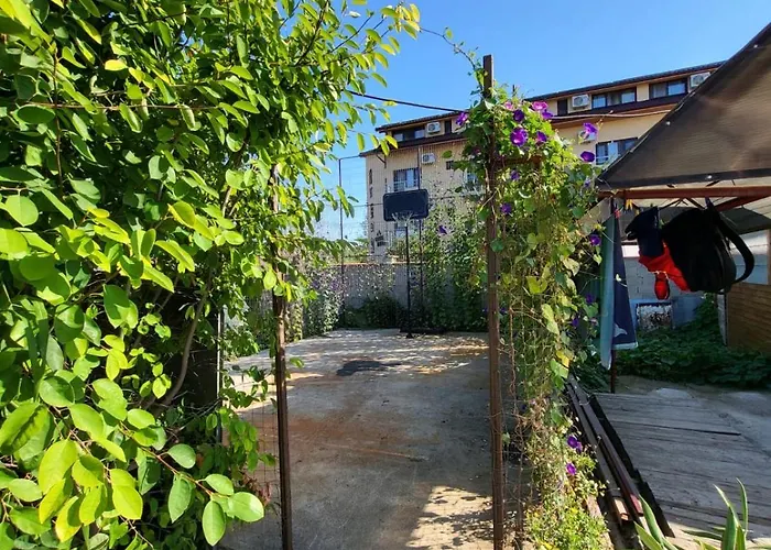 Hipo בית הארחה